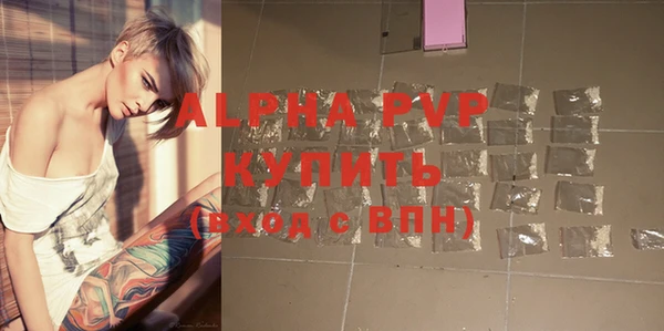 индика Белокуриха