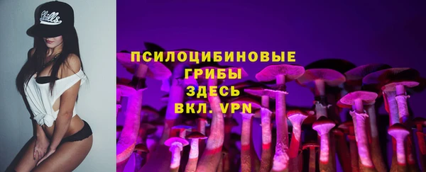 индика Белокуриха