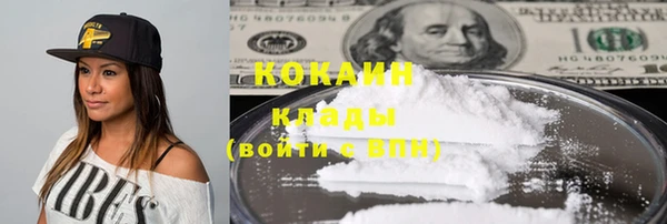 индика Белокуриха