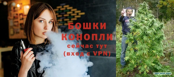 индика Белокуриха