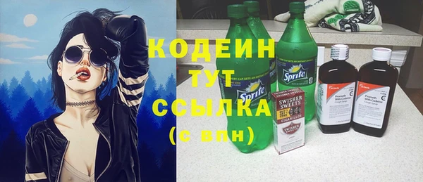 индика Белокуриха