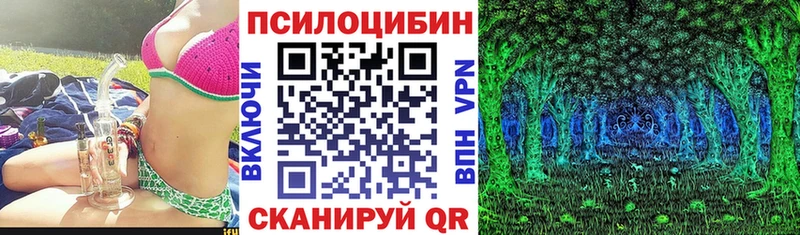 где найти наркотики  Брюховецкая  blacksprut как войти  Псилоцибиновые грибы ЛСД 